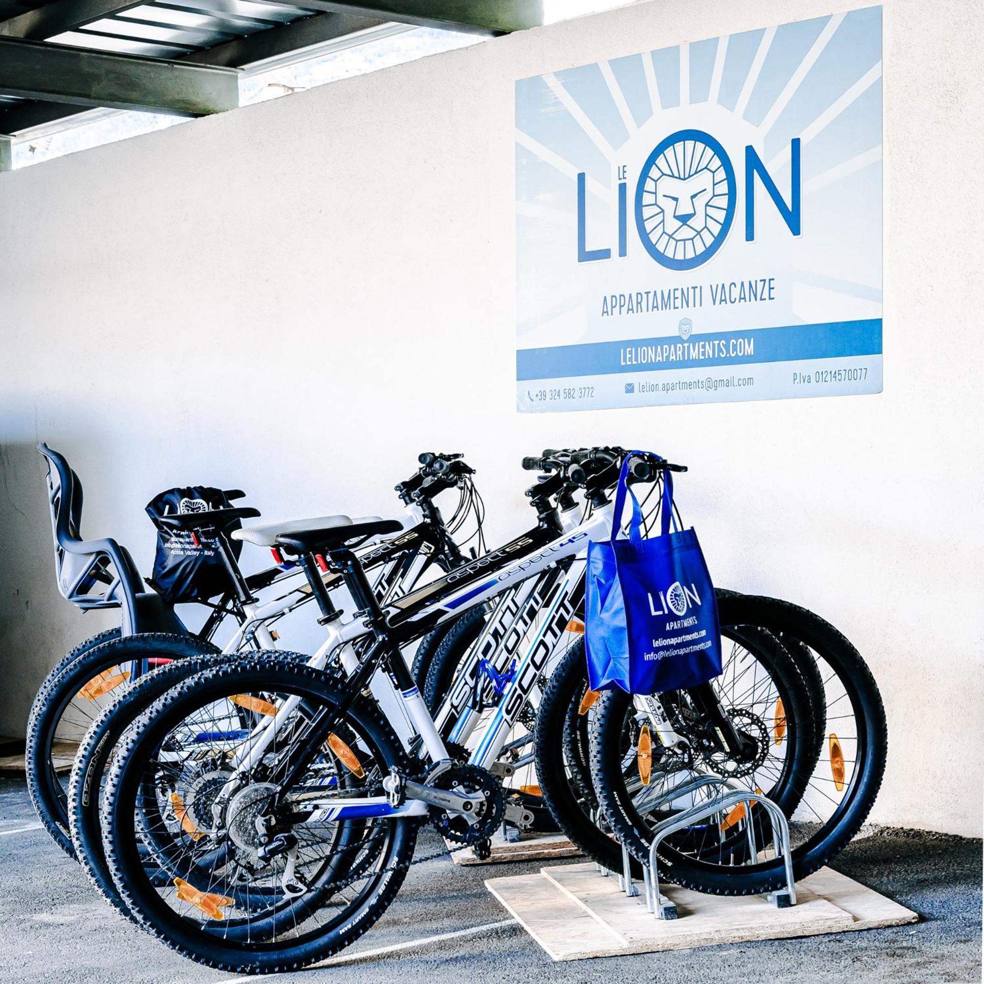 Le Lion Apartments - Bike & Ski Aosta Dış mekan fotoğraf